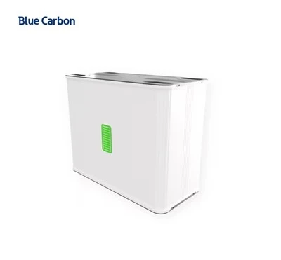 Blue Carbon LiFePO4 baterija 48 V 200 Ah, 250 Ah, 300 Ah s prizmatičnom baterijskom ćelijom i ugrađenim BMS-om